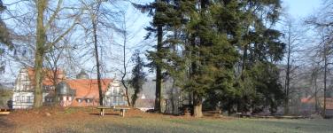 Grillplatz Winter Schloss Buchenau