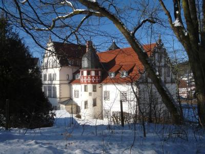 Schloss Buchenau