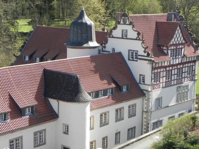 Schloss Buchenau von Norden