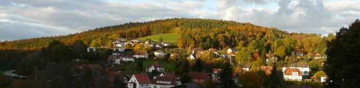 Ansicht Buchenau